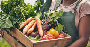 Why Consistent Food Supply is Important for Restaurants